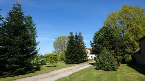 Foto - 5 Zimmer Einfamilienhaus zum Kaufen in Cottbus