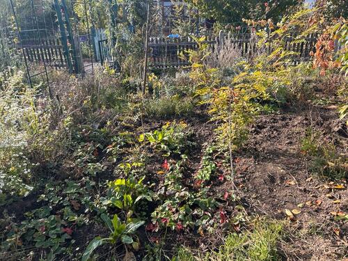 Foto - Grundst&uuml;ck in Halle (Saale) zur Miete