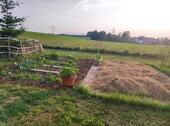 Foto - Bauernhaus, Landhaus in Villingen-Schwenningen zum Kaufen