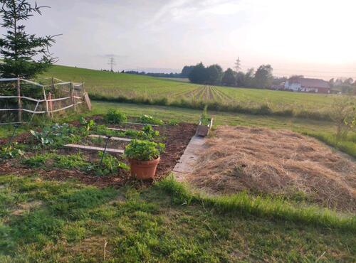 Foto - Bauernhaus, Landhaus in Villingen-Schwenningen zum Kaufen