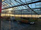 Foto - 3200qm gewächshaus zu verpachten
