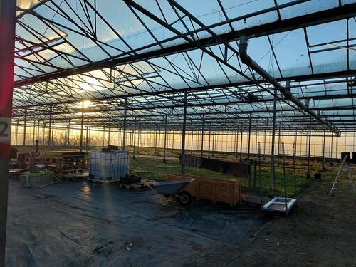 Foto - 3200qm gewächshaus zu verpachten