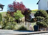 Foto - 8 Zimmer Einfamilienhaus in Idar-Oberstein