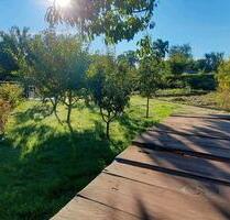 Garten in Gartensparte Hoffnung - Greifswald Eldena