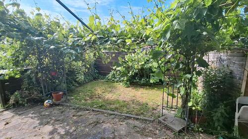 Foto - Grundst&uuml;ck in Greifswald zur Miete