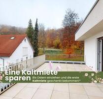 Wundervolle 2-Zimmer-Wohnung mit großem Balkon - Heidenheim an der Brenz