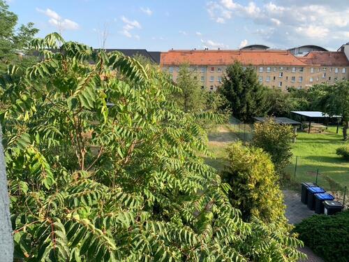 Foto - Charmante 3-R-EG Wohnung m. Garten und Stellplatz