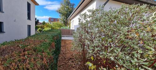 Foto - Einfamilienhaus in Werder (Havel) zum Kaufen