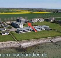 FEHMARN ❤️ Ostsee ☀ Ferienwohnung Meerblick ☘️ Naturstrand ⚓ Hund