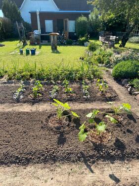 Foto - Pachtgarten in 39130 Magdeburg, Nähe Rennetal, abzugeben