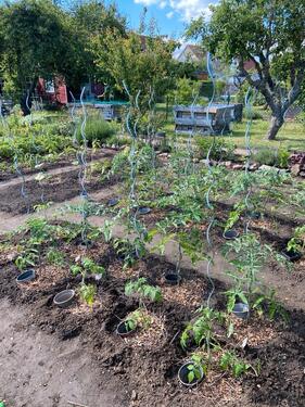 Foto - Grundst&uuml;ck zur Miete in Magdeburg