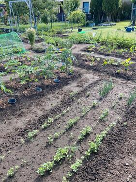 Foto - Grundst&uuml;ck in Magdeburg