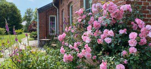 Foto - Teil einer Hofgemeinschaft am Dollart werden –Mehr als nur Wohnen