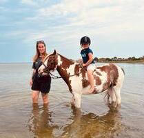 Urlaub auf dem Ponyhof an der Ostsee Ferienwohnungen - Gelting