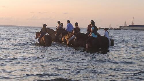 Foto - andere zur Miete in Gelting
