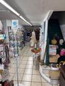 Foto - andere in Waldshut-Tiengen
