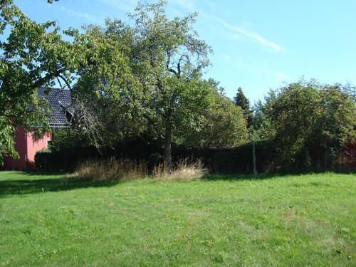 Foto - Angebot für großes Grundstück mit Scheune, Stall und Garten