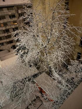 Foto - andere in München zur Miete