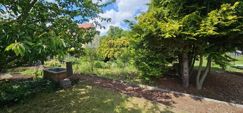 Foto - Grundst&uuml;ck in Lützen