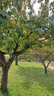 Foto - Kleingarten in Wolgast - 3.000,00&nbsp;EUR Kaltmiete, ca.&nbsp; 0,00&nbsp;m&sup2;