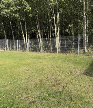 Foto - andere zur Miete in Boltenhagen