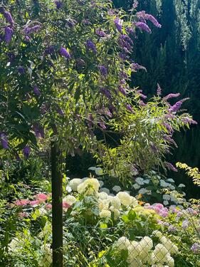 Foto - 3 Zimmer Wohnung Neuhausen auf den Fildern