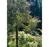 3 Zimmer Wohnung Neuhausen auf den Fildern - Stuttgart Birkach