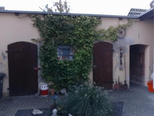 Foto - 4 Zimmer Etagenwohnung zum Kaufen in Dessau-Roßlau