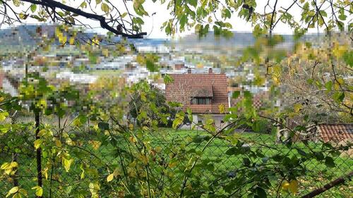 Foto - 7 Zimmer Einfamilienhaus in Miltenberg