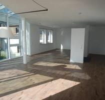 IHR NEUES LUXUSDOMIZIL MIT LICHT , FLAIR UND WOW-EFFEKT - Wiesbaden Mainz-Kastel