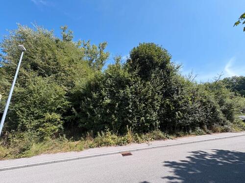 Foto - Grundstück in Pfarrkirchen zur Miete
