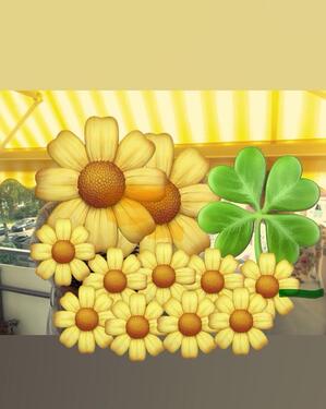 Foto - Schicke kleine Wohnung Nähe Volksparkstadion