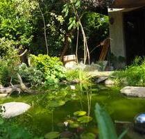 Doppelgarten zur Pacht in Bad Sülze