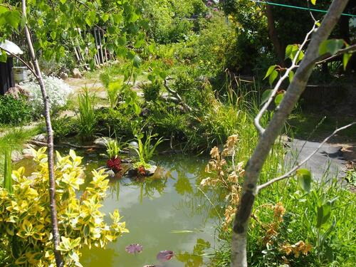 Foto - Grundst&uuml;ck in Bad Sülze zur Miete