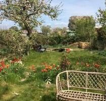 Kleingarten abzugeben - Rostock Gartenstadt