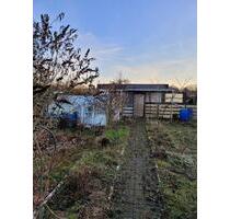 Kleingarten in 18273 Güstrow – KGA „Zum Waldessaum“ - 380 m²