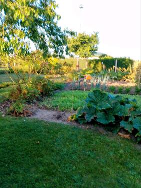 Foto - Grundst&uuml;ck in Goldberg zur Miete