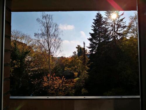 Foto - 2 Zimmer Wohnung Hannover Zentrumnahe