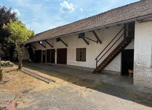 Foto - Mehrfamilienhaus, Wohnhaus in Elsenfeld zum Kaufen
