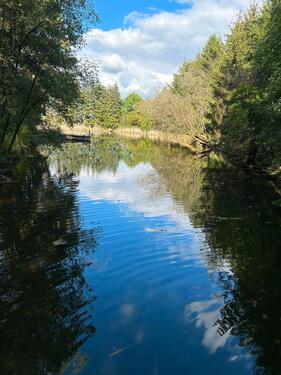 Foto - Freizeitgrundstück, Weiher, Fischteich, Permakultur, Gemüsegarten