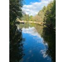 Freizeitgrundstück, Weiher, Fischteich, Permakultur, Gemüsegarten - Aurach