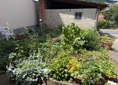 Foto - Einfamilienhaus in Hausen zum Kaufen