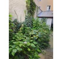 Zwei denkmalgeschützte Wohn- und Geschäftshäuser in der Altstadt - Regensburg Das Dörnberg