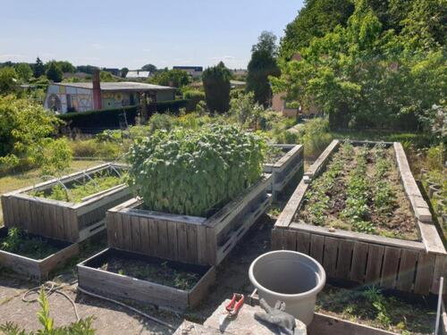 Foto - Grundst&uuml;ck zur Miete in Neubrandenburg