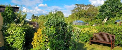 Foto - Grundst&uuml;ck in Papendorf zur Miete