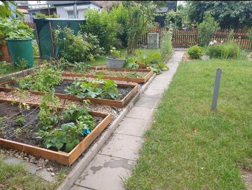 Foto - Grundst&uuml;ck zur Miete in Dresden