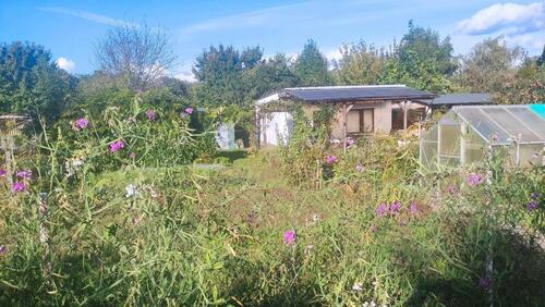 Foto - Garten, Gartenhaus, Kleingarten