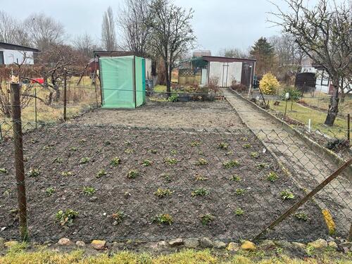 Foto - Grundst&uuml;ck zur Miete in Ribnitz-Damgarten