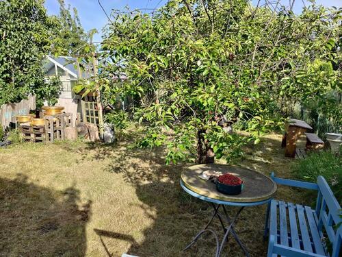 Foto - Grundst&uuml;ck in Papendorf