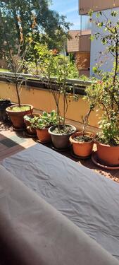 Foto - Etagenwohnung in Ottobrunn zur Miete